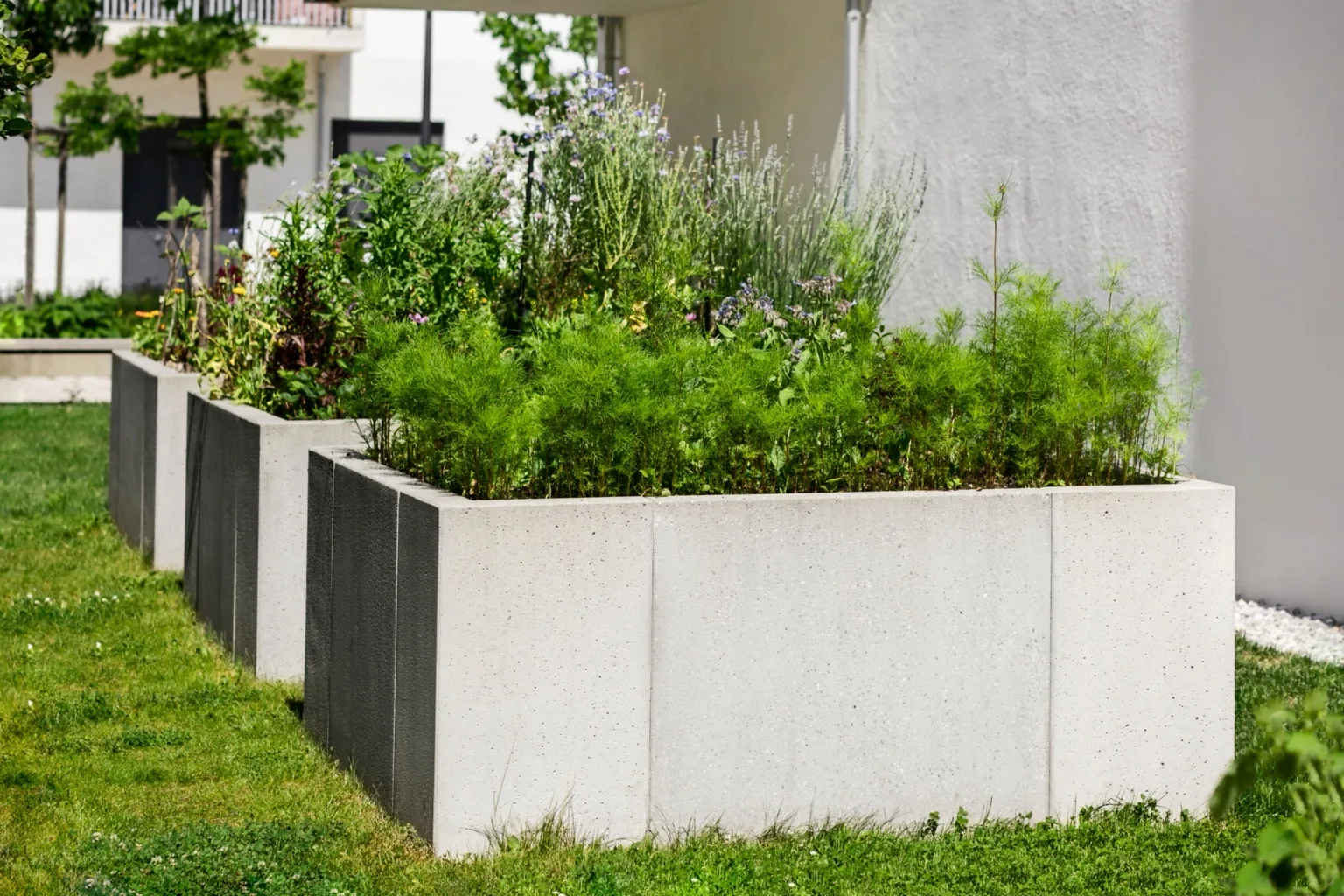 Raised concrete planters filled with greenery beside an apartment building